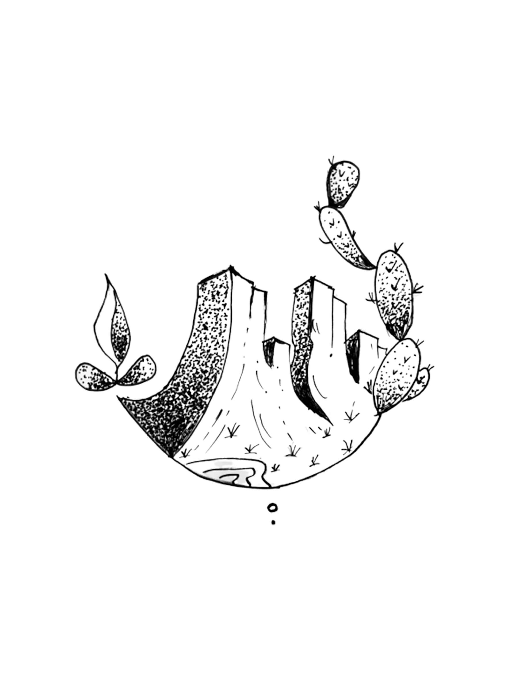 cizim